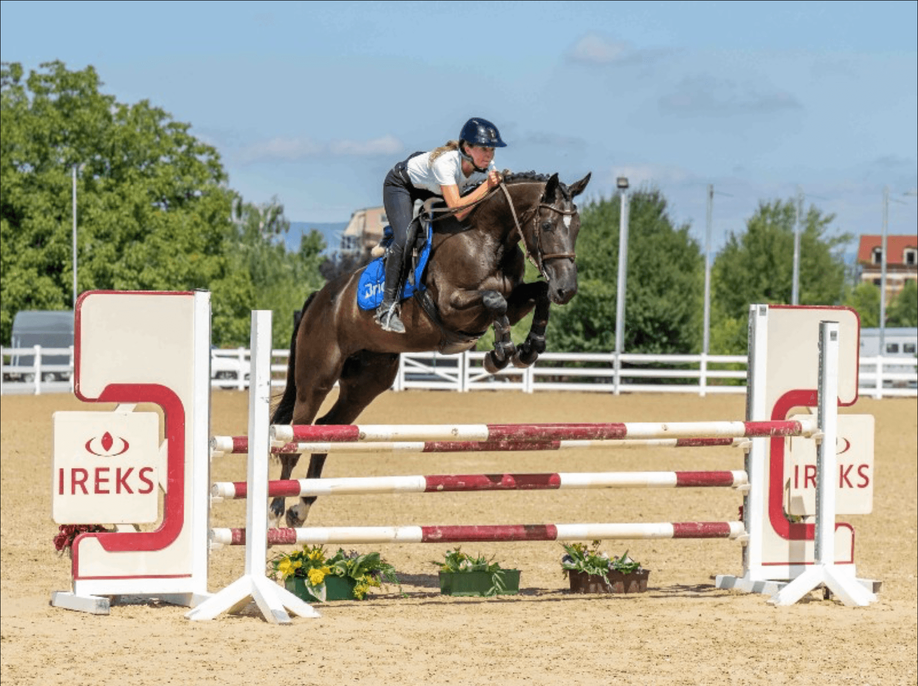 IRA R | 2020 Bay Mare