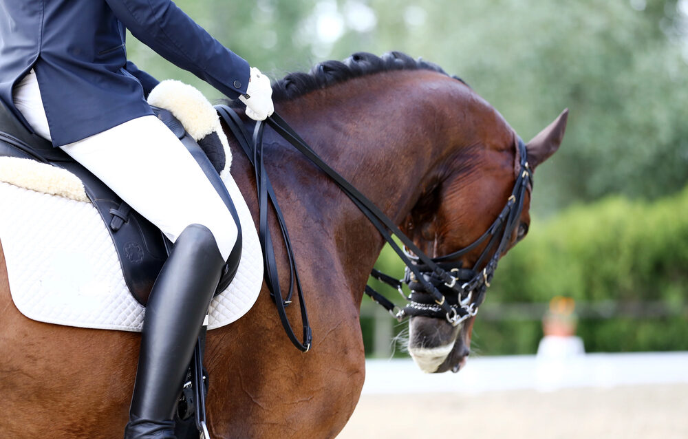 Depositphotos_200461106_S