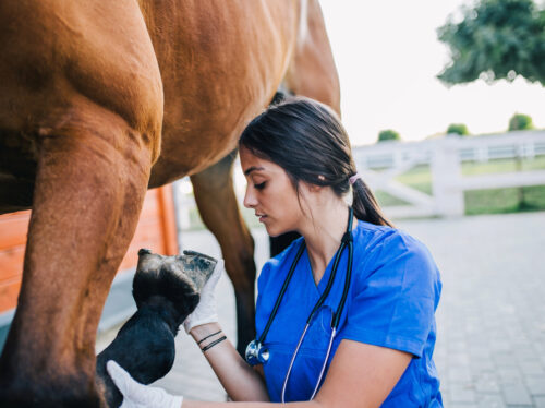 Depositphotos_209681936_S