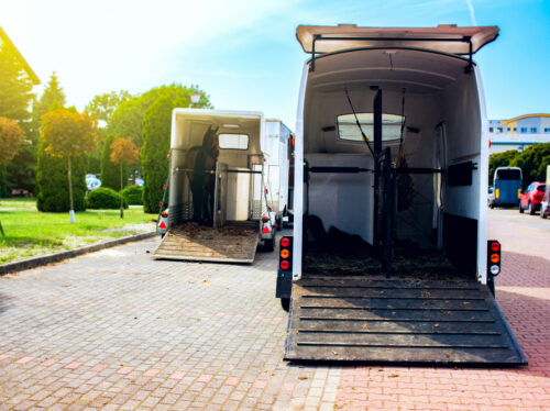 Depositphotos_300819366_S