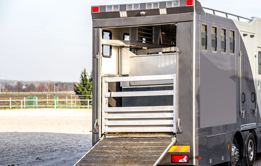 Depositphotos_326117874_S