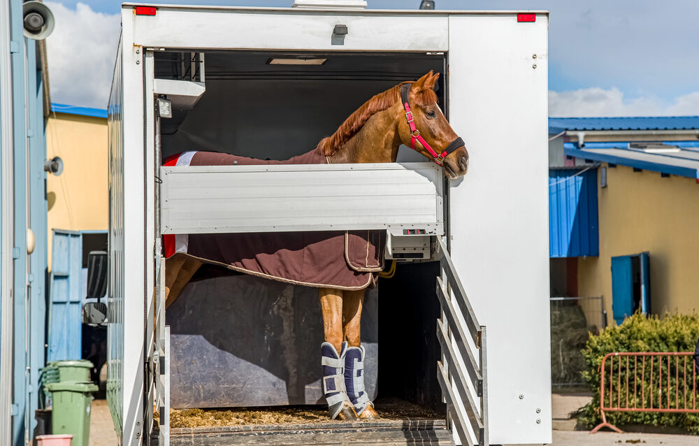 Depositphotos_352938870_S