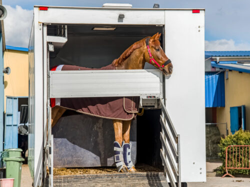 Depositphotos_352938870_S