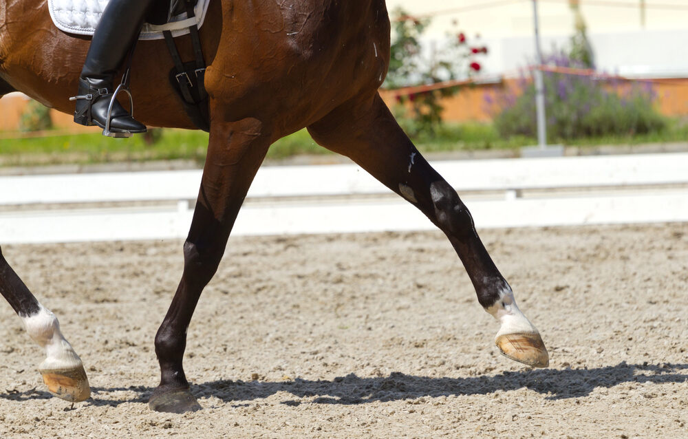 Depositphotos_49342229_S