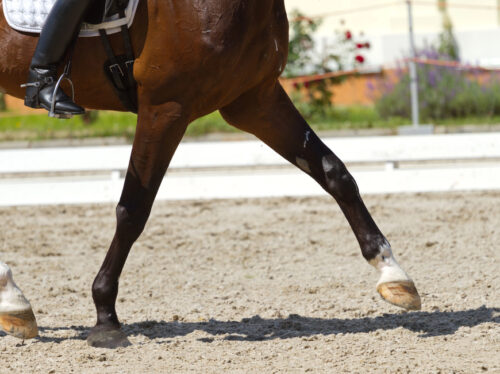 Depositphotos_49342229_S