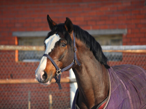 Depositphotos_49759823_S