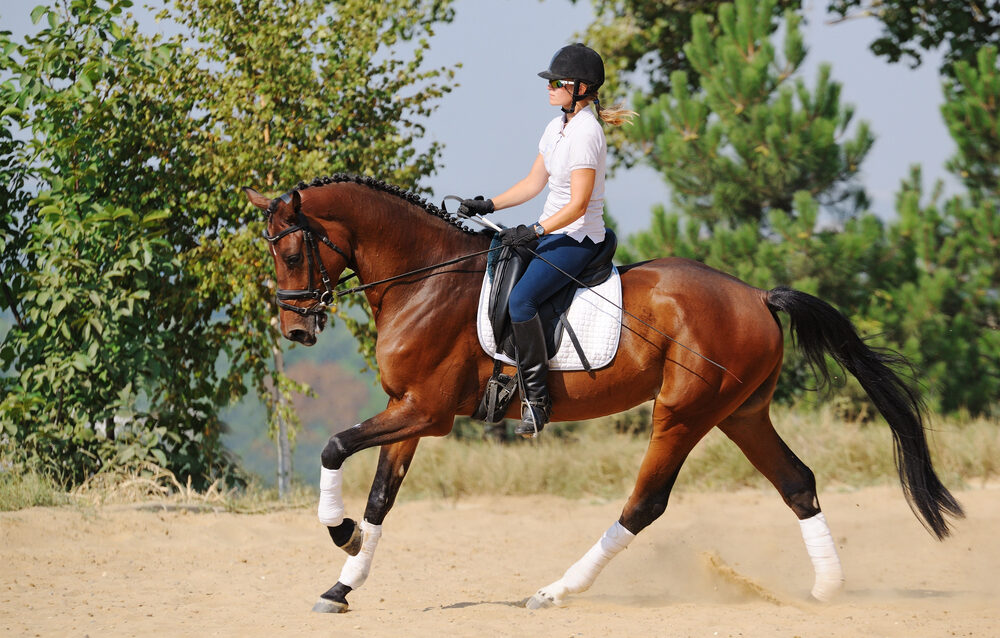 Depositphotos_60660957_S