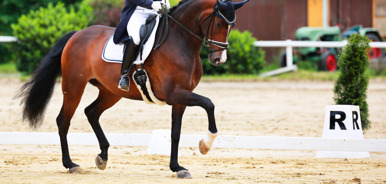 Depositphotos_700256886_L Depositphotos_700256886_L