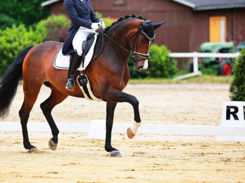 Depositphotos_700256886_L