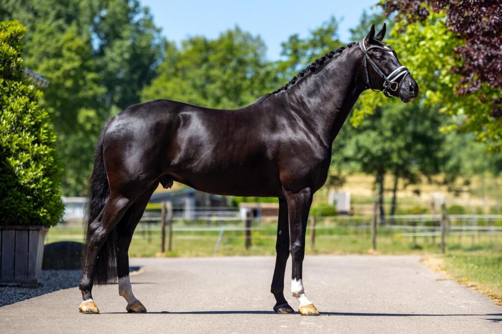 Photo supplémentaire