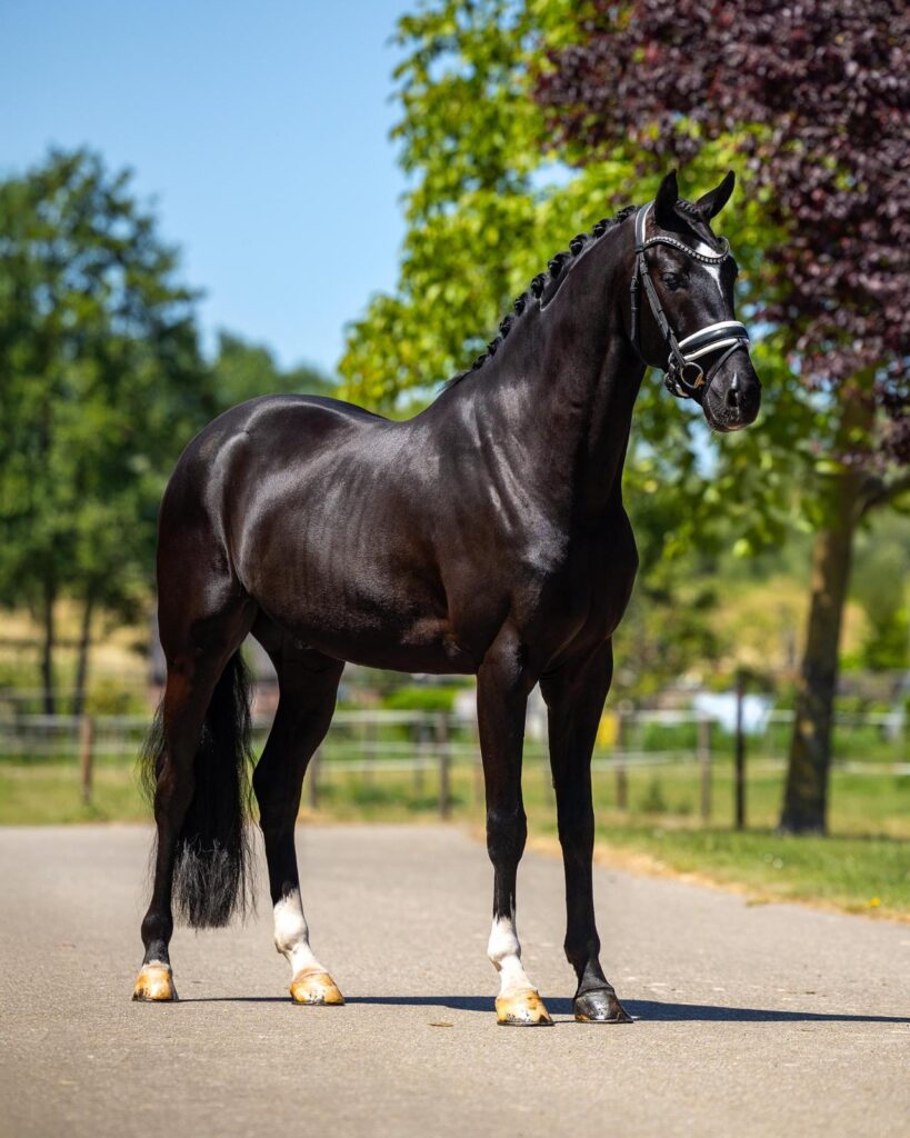 Photo supplémentaire