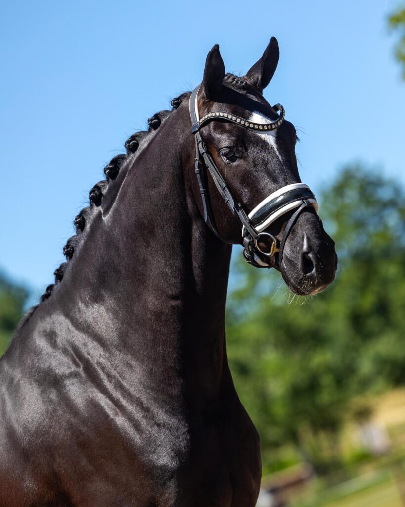 Photo supplémentaire